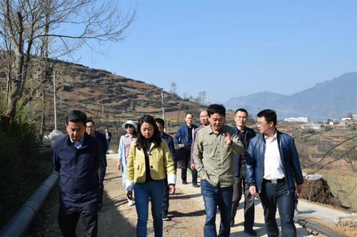 农业农村厅督战专班第四组一行在杨波副厅长的带领下,到凉山州金阳县