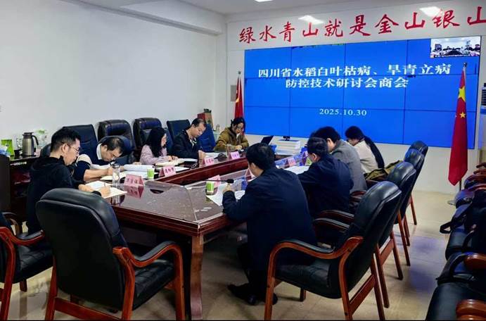 048e9f2b24610ef19aa7bf541163d936