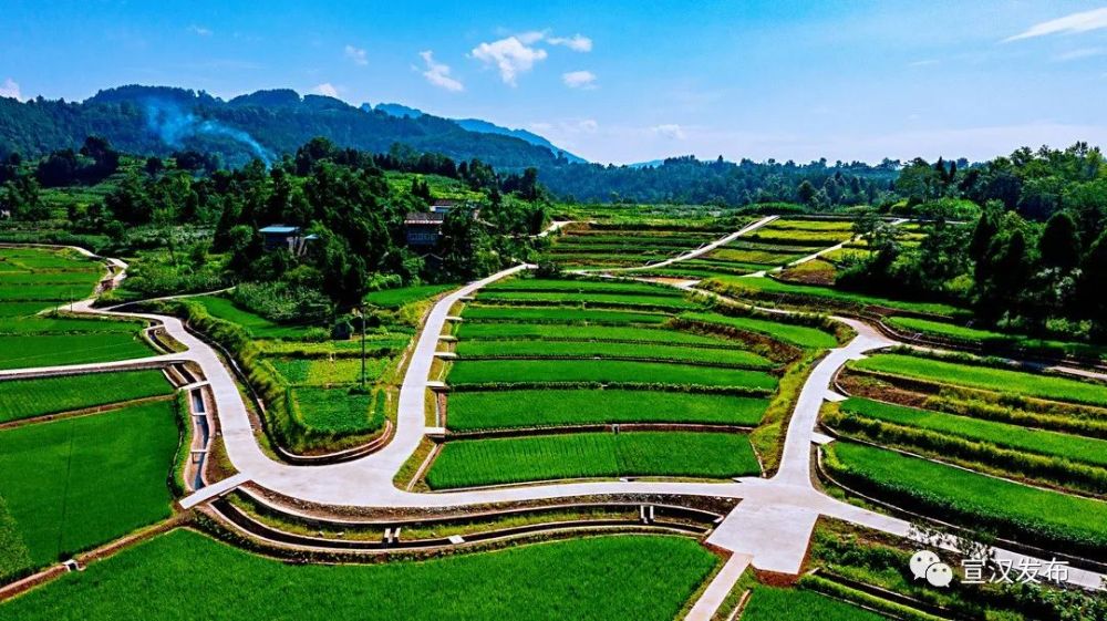 四川省农业农村厅